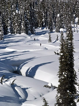 Scenic Callaghan Valley view